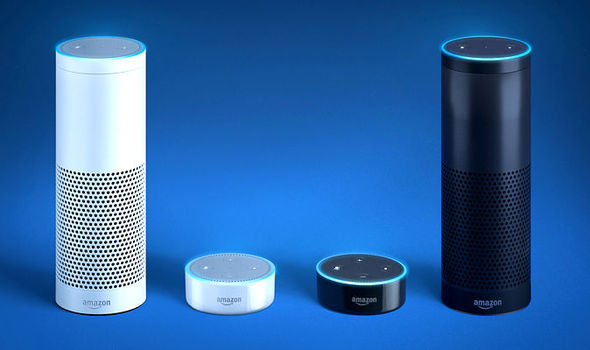 Should I Buy an Amazon Echo or an Echo Dot?